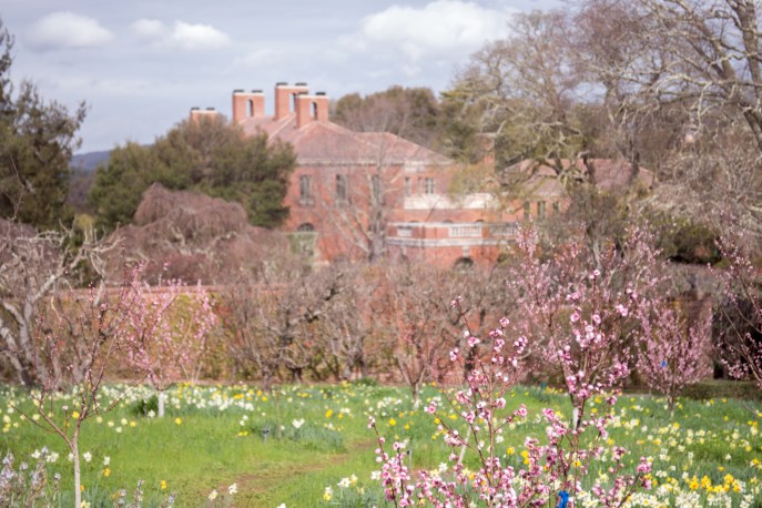 filoli (9 of 41)
