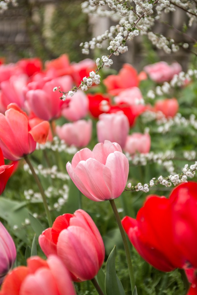 FiloliBlog (13 of 25)