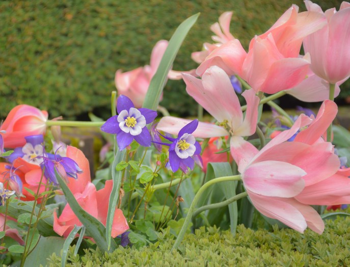 FiloliBlog (4 of 25)