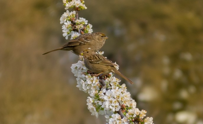 FiloliBlog (7 of 25)