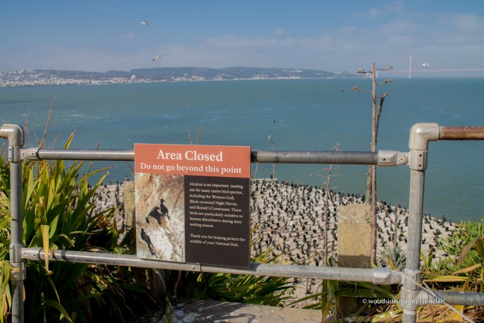 Alcatraz (1 of 1)-11