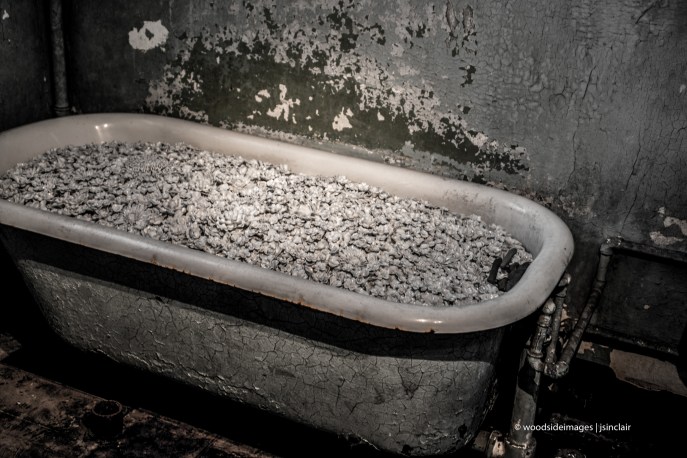 Alcatraz (1 of 1)-20