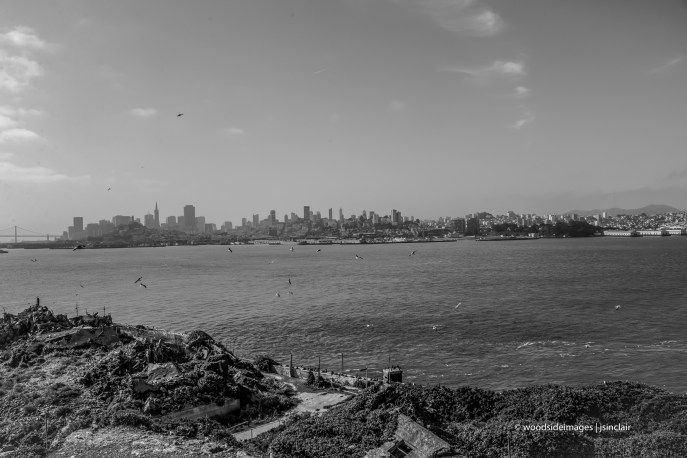 Alcatraz (1 of 1)-8